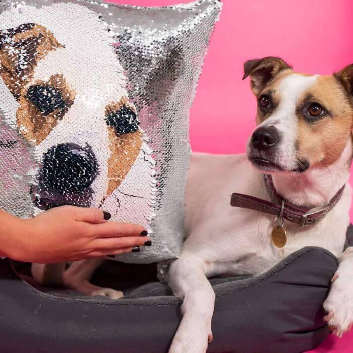 Customized Sequin Pillow Cover (2062846984249)