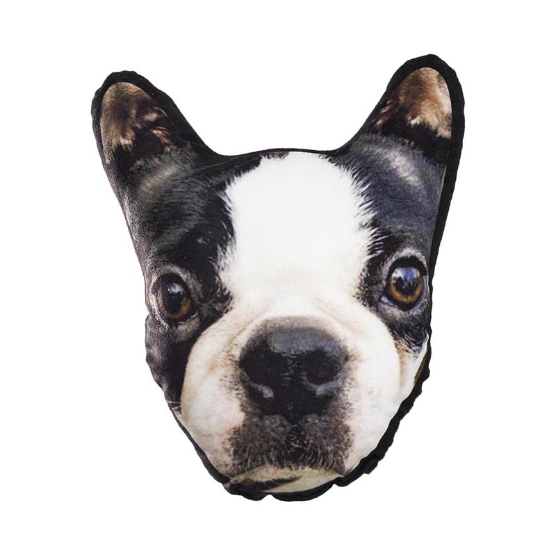 Pet Face Cushion (4299807031353)